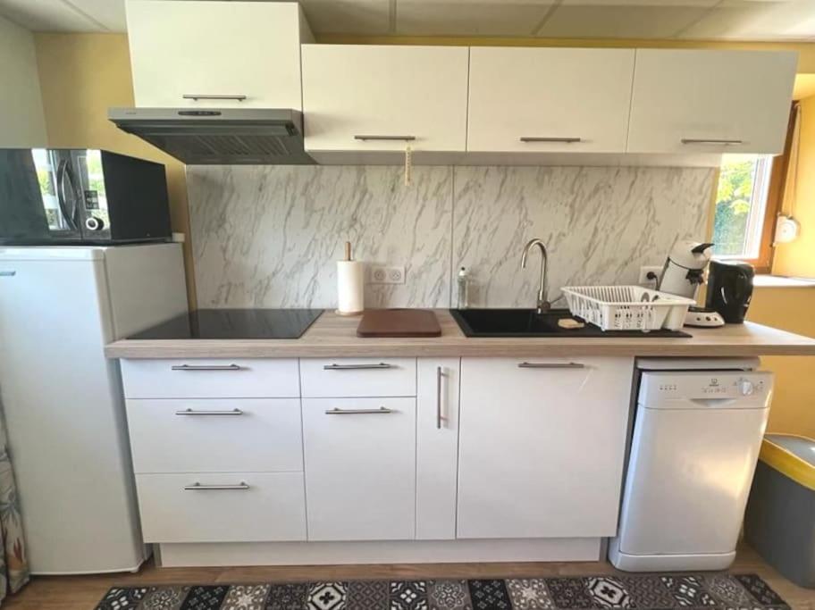 Apartamento Au Petit Bonheur Horbourg Exterior foto